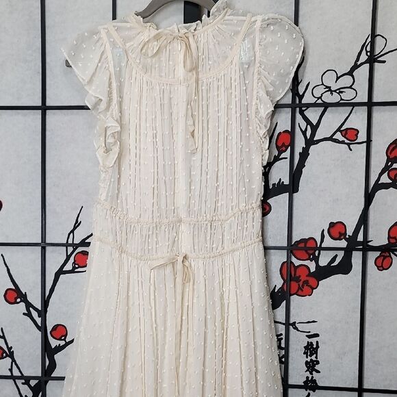 Ulla Johnson Jules Swiss Dot Silk Asymmetric Dress - Picture 6 of 11